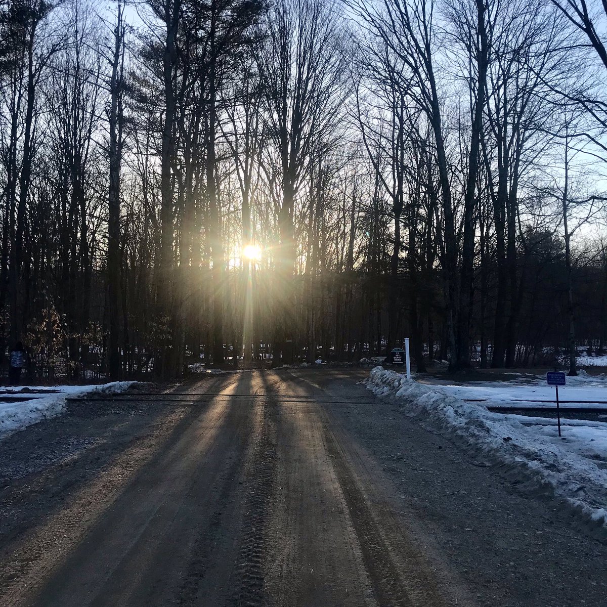 pinevalleycabin's tweet photo. Happy Sunday, happy spring 🌱 #goodmorning #sun #spring #seasons #newhampshire https://t.co/l7noDgUo5g
