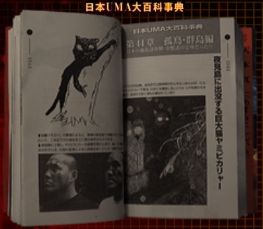 ハトバテリウム ヤミピカリャー 夜見島に生息するｕｍａ ダクトに潜んでいたところを奇石に轢かれる Siren Siren2 アーカイブ 外山圭一郎 夜見島 ネコ 猫