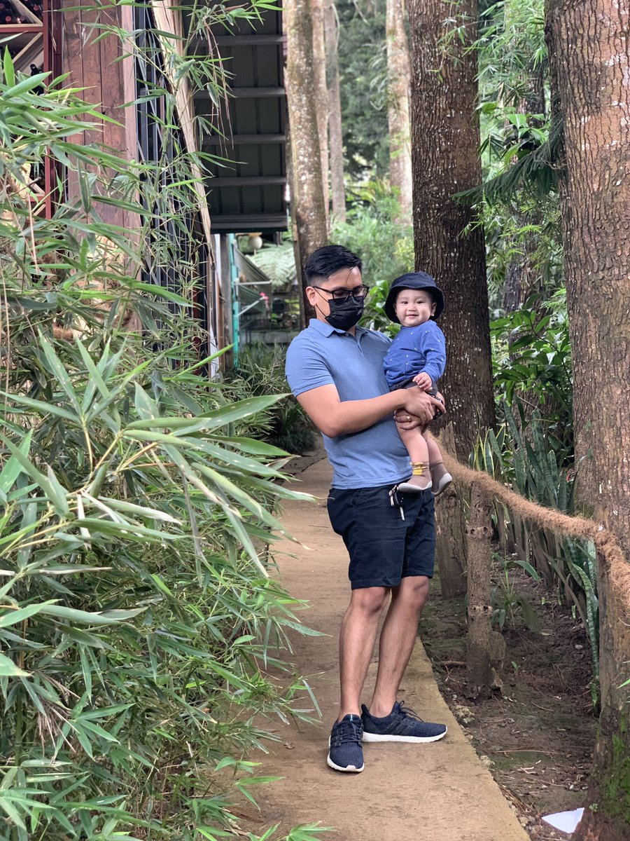 ajchrsse's tweet photo. 🌲🌲🍃💚 https://t.co/Py0BhzI5JJ
