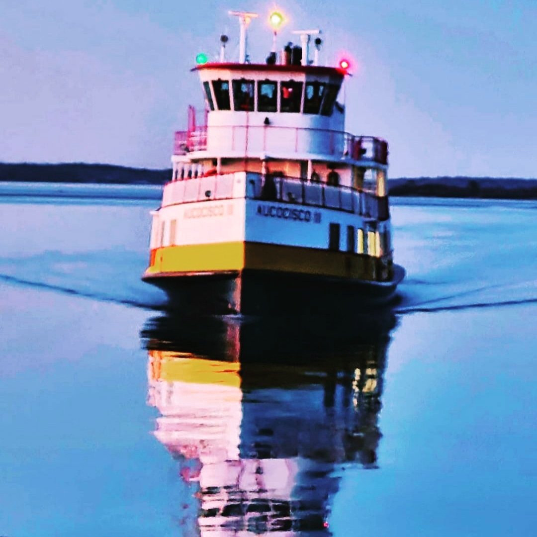 Springtime inbound ferry