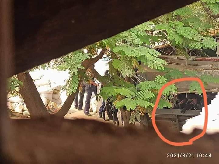 B851997's tweet photo. Photo evidences show terrorist group(SAC) holding snipers to shoot the unarmed civilians to the head in MONYWA today.

FREEDOM OF SPEECH
#Mar21Coup
#WhatsHappeningInMyanmar https://t.co/Tt1aQoa179