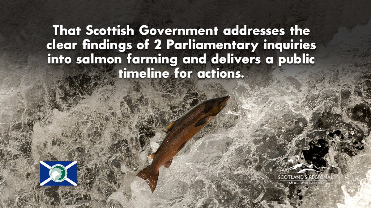 ScotGamekeepers's tweet photo. Thank you the @FishPal team for organising the Facebook Live #RWP21 session with river ghillies on Friday. You can catch it up, here: https://t.co/MSu3k5x2qQ https://t.co/mDGBzGaq9k