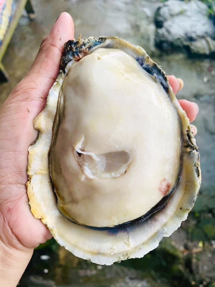 KapusoMoJessicaSoho on Twitter: 