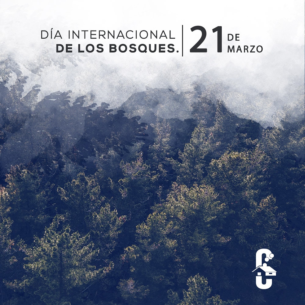 cibaodom's tweet photo. Hablar de bosques es hablar de vida🌿. El 80% de las especies animales y vegetales habitan en estos ecosistemas. Nos proporcionan agua, oxígeno, alimentos y materias primas, además de paisajes y espacios de recreación.  

ODS#15 Vida de ecosistemas terrestres. 

#RSCACAP https://t.co/cNJRJIrB46