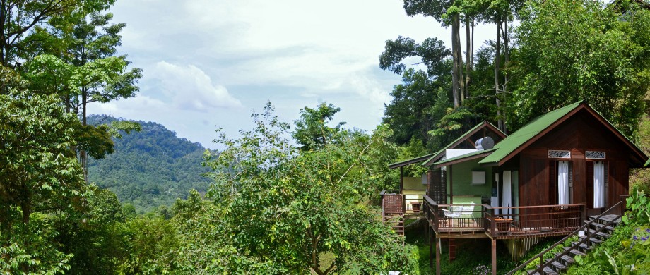 cutibajetco's tweet photo. Sapa yang suka nature tu boleh lah staycation sini. View cantik. Tenang je..

📍The Dusun Resort, Negeri Sembilan https://t.co/EuE3wRwBNt