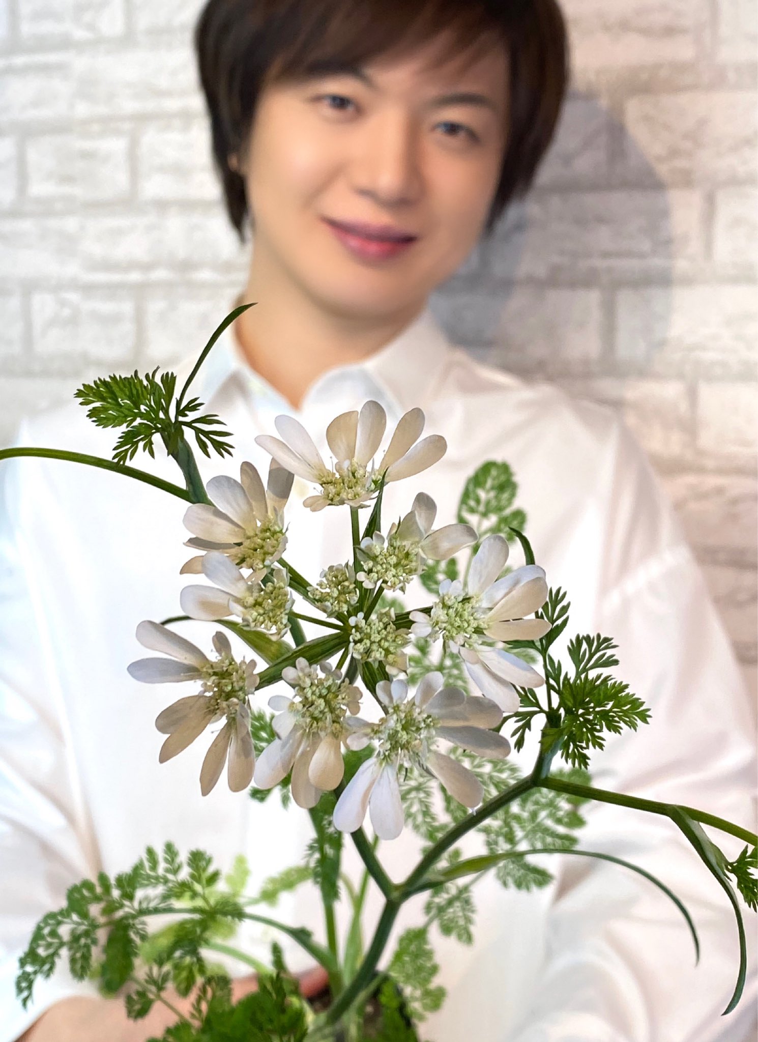 تويتر 竹島宏スタッフ 公式 على تويتر オルレア 花言葉は 感謝 花びらがハートの形をしています ありったけのハートを皆さんにお届けします 今日も1日お疲れ様でした ひろネット 花言葉 花便り 花 オルレア 花を贈ろう 花のある暮らし 花のある