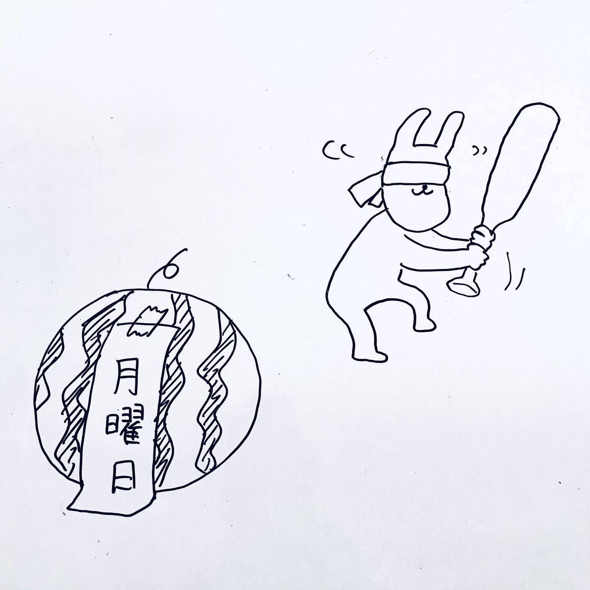 今日の一枚 