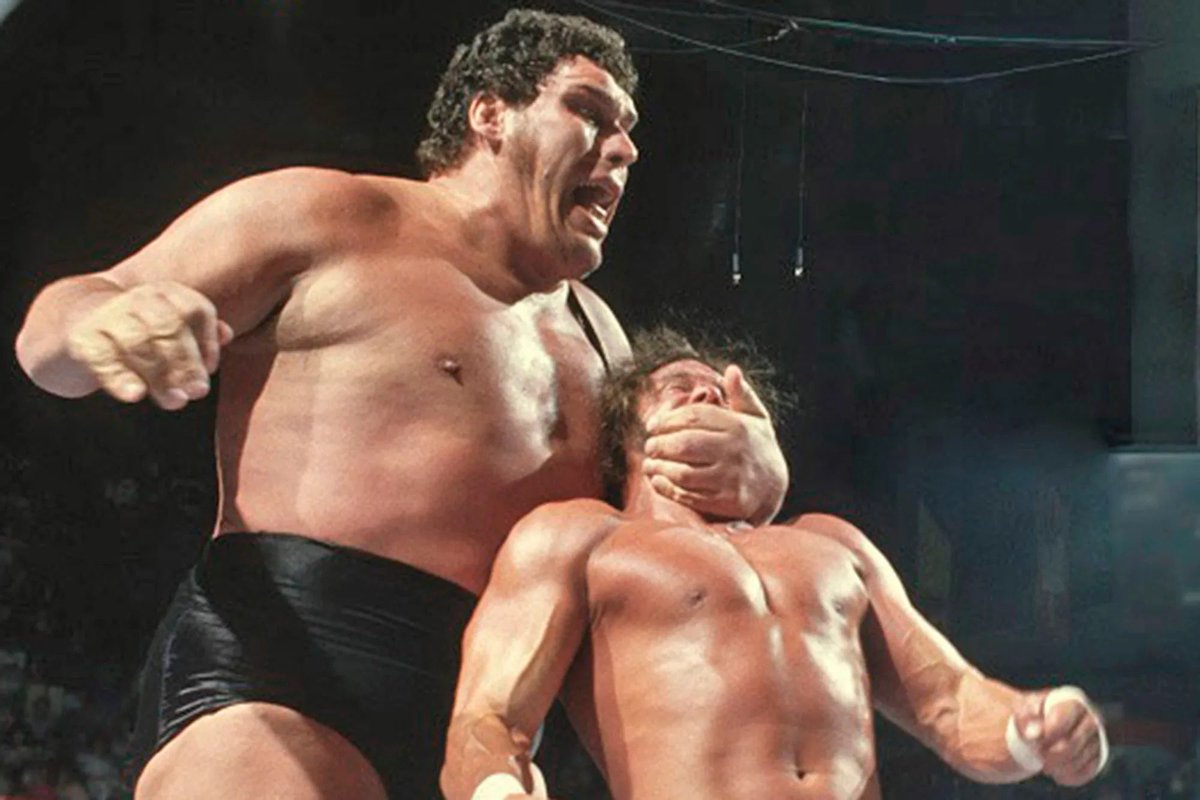 ColossusNick's tweet photo. It’s the final!  Who is your favourite? Vote for the one....the only 8th wonder of the world, ANDRE THE GIANT!!! #VoteAndre https://t.co/fTMDthOJCG