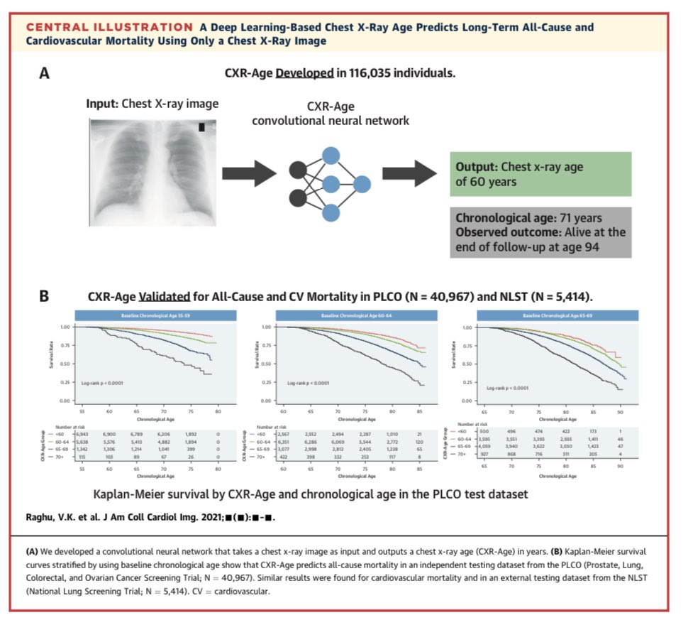 KCohoonDO's tweet photo. Intriguing study: Machine learning predicting longevity from chest X-ray was much better than chronological age in predicting long-term all-cause &amp; CV mortality. All the signals our bodies electrically emit &amp; those captured via imaging are rich in data.
https://t.co/jxR1qfMwGT https://t.co/G3wv36wxjW
