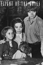 Second Irish kids movie of the week - Flight of the Doves. It’s amazing what you think was great as a kid BUT this one hasn’t aged well. The are several reasons why it’s not on TV anymore. Any other suggestions for Irish movies for kids? ☘️