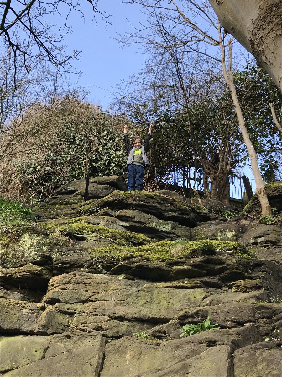 ScubbinStuart's tweet photo. He reached the Summit ⁦@memcalea_maire⁩ https://t.co/zQEMhBMayd