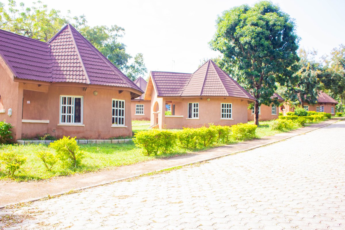 Yankari Game Reserve tweet media