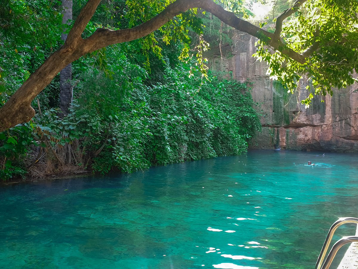 Yankari Game Reserve tweet media