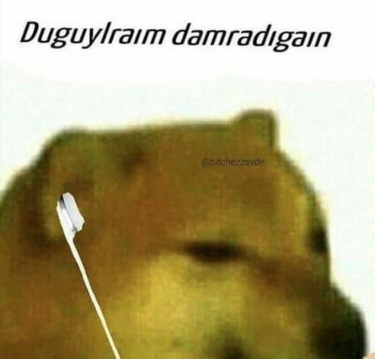 2.sınavları ögrenen ben:Şey mi dosttum yine yanginlar yine ben #VakalarArtıyorSınavlarİptal