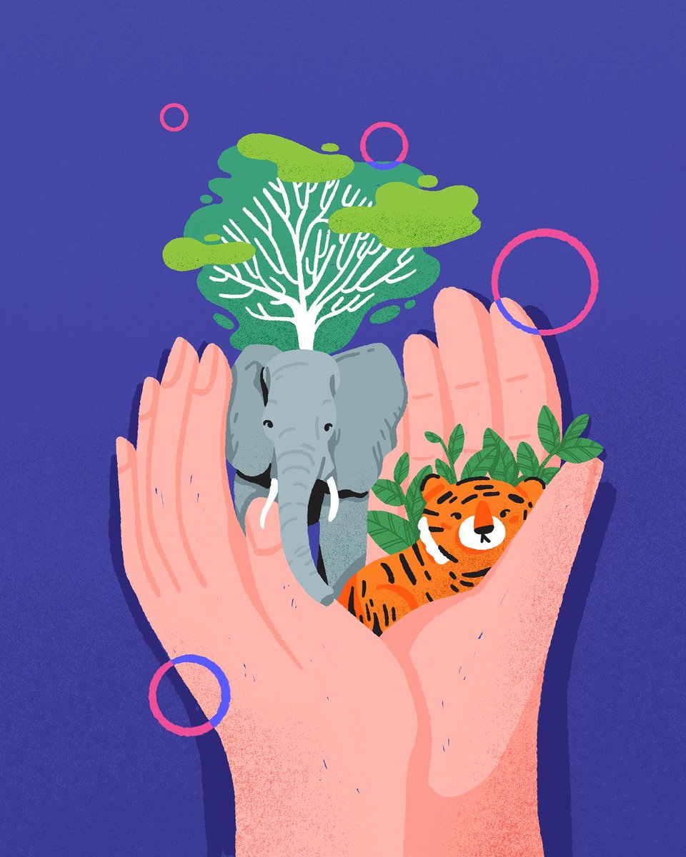 somewandraws's tweet photo. Protect our one and only earth.
ourplanetweek

🍃 🌏 Our Planet Week 2021 🌎 🍃 
is hosted by: asiaorlando_ beatheillustrator Daniipollehn debi_hudson hollymaguireuk ici.jozi jonchingart Julika.illustration Kailaelders karlasandersart lavater_art melanie.johnsson Nuria https://t.co/e4WkZstocj