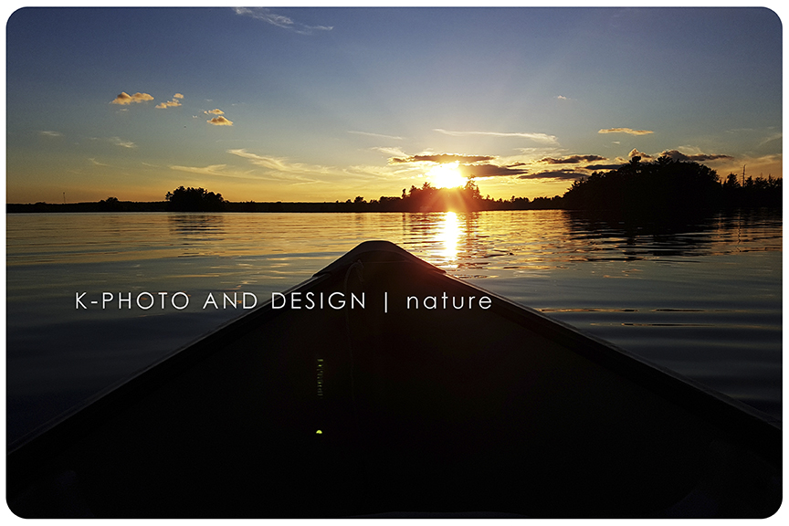 KPhotoandDesign's tweet photo. I realize I have been slacking off in posting. Perhaps this pandemic has kicked me in the gut. So this is what has been happening. We'll start with August 2020. https://t.co/p5f0ustvKr☀️#pandemiclife #summervacay #vrbo https://t.co/wgCl0bl1Y1