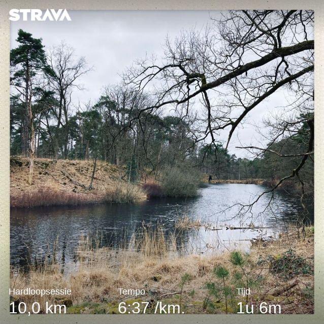 Just_Yazz's tweet photo. #PureTrail  🌳🐿#ReallyReallySlow #BadAssMotherRunner🏃🏻‍♀️ #Vughterheide #IJzerenman https://t.co/cfGAeGYyvn