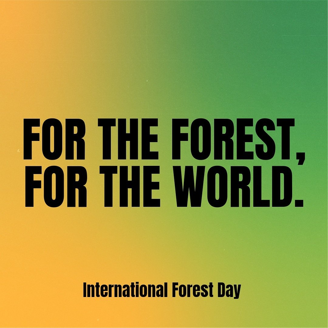 TheEcoUnlock's tweet photo. It's International Forest Day!

Restoration of forests is the only way to save the world! 
Restoring forests is gonna help thousands of species of animals and birds to survive!

Let's do out part!

#birds #InternationalDayofForests #ClimateAction #ForestRestoration #climate https://t.co/AnuwXWooaw