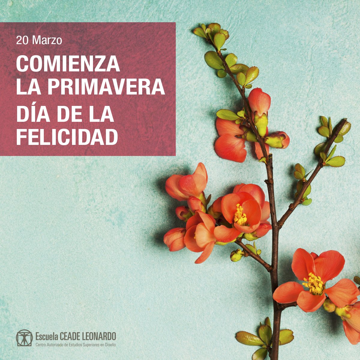 🌼 ¡Hoy comienza la primavera! Además, en esta hornada celebramos el Día de la Felicidad. Y es que..., ¿a quién no le hace feliz esta estación tan especial? ¡Desde #CEADELeonardo os deseamos mucha felicidad hoy y siempre!

#CEADELeonardo #gradosoficiales #diseño #design #designer