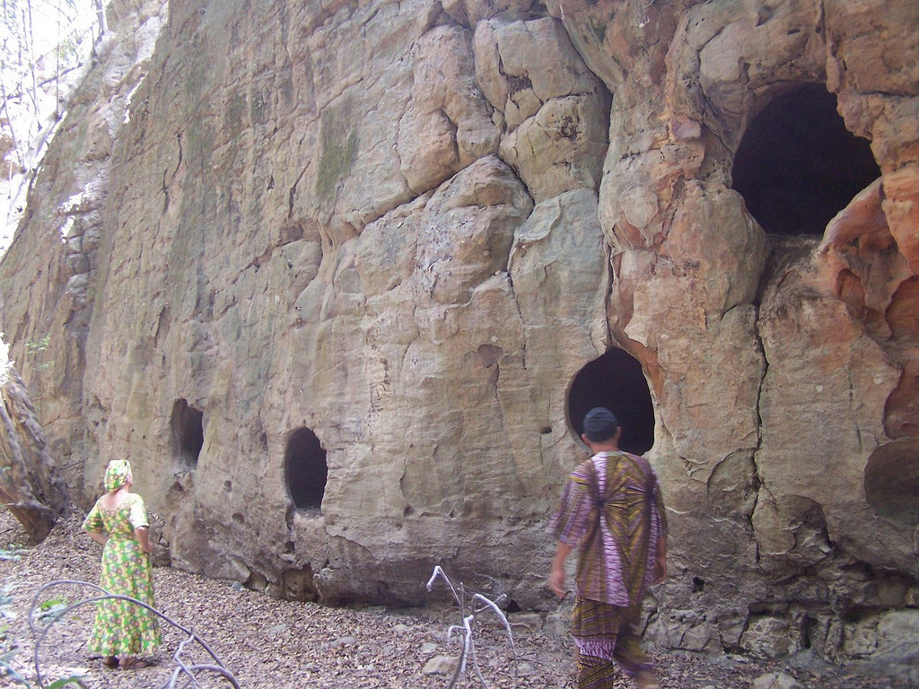 Yankari Game Reserve tweet media