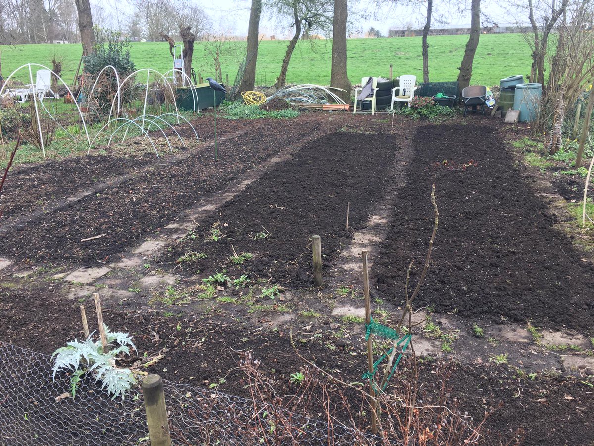 DirmaatGGC's tweet photo. #Moestuin is klaar voor t nieuwe seizoen. #Kweekbakken zitten vol. #peulen, #tuinbonen, #bietjes, #rodekool, #pastinaak, #koolrabi #venkel, #prei, #maggiplant Groeien maar! https://t.co/D1kHPDuhcd