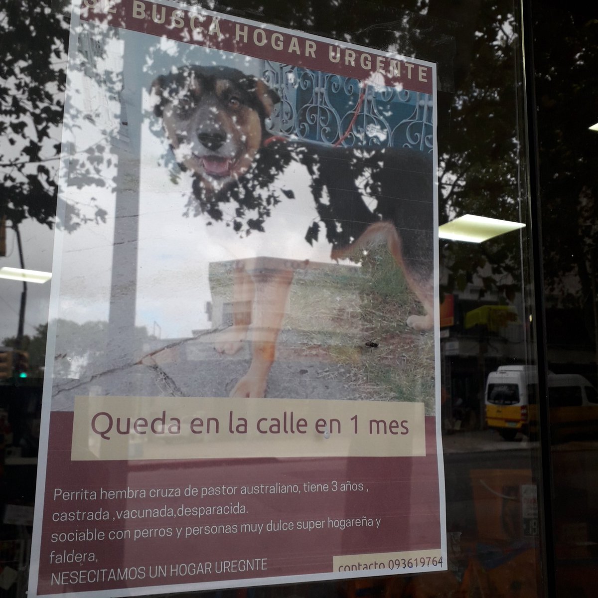 BelvedereGatos's tweet photo. Encontre este cartel😞, por si pueden compartir. Gracias!! https://t.co/LFGFXqHtVt