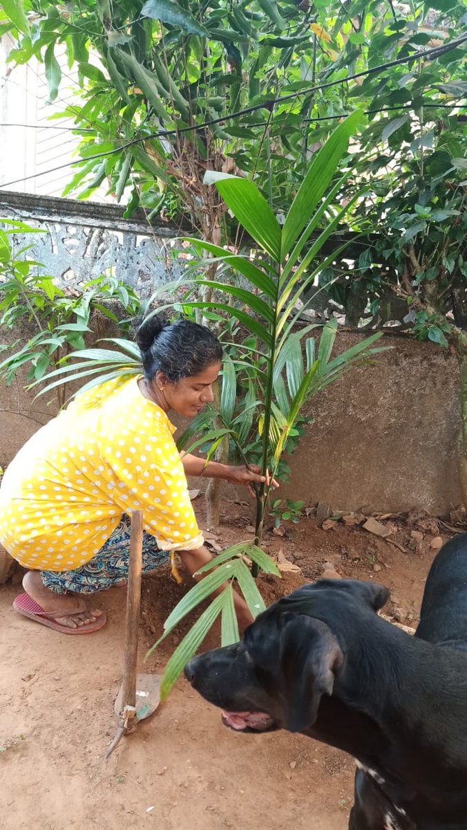 trincilla2's tweet photo. @ashex16 #PAL #PlantALegacy @LicypriyaK . https://t.co/7IoNzqvoED