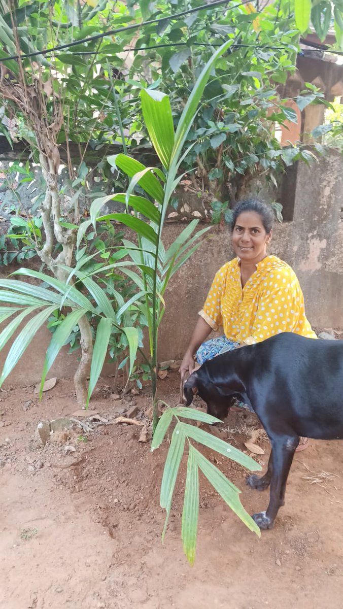 trincilla2's tweet photo. @ashex16 #PAL #PlantALegacy @LicypriyaK . https://t.co/7IoNzqvoED