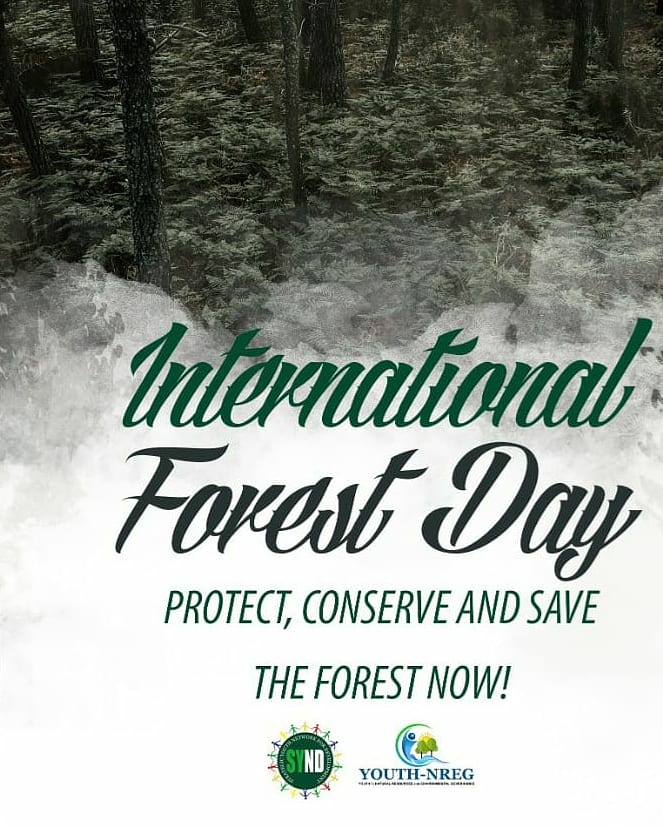 SYNDGhana's tweet photo. The degradation and loss of forests threatens the survival of many species, and reduces the ability of forests to provide essential services. @fcghana2020 @mestighofficial @FAOForestry 
#IntlForestDay  #OurForestsOurFuture   #GHUnites4Forest
#SaveGhForests https://t.co/IzhrhNZmuw