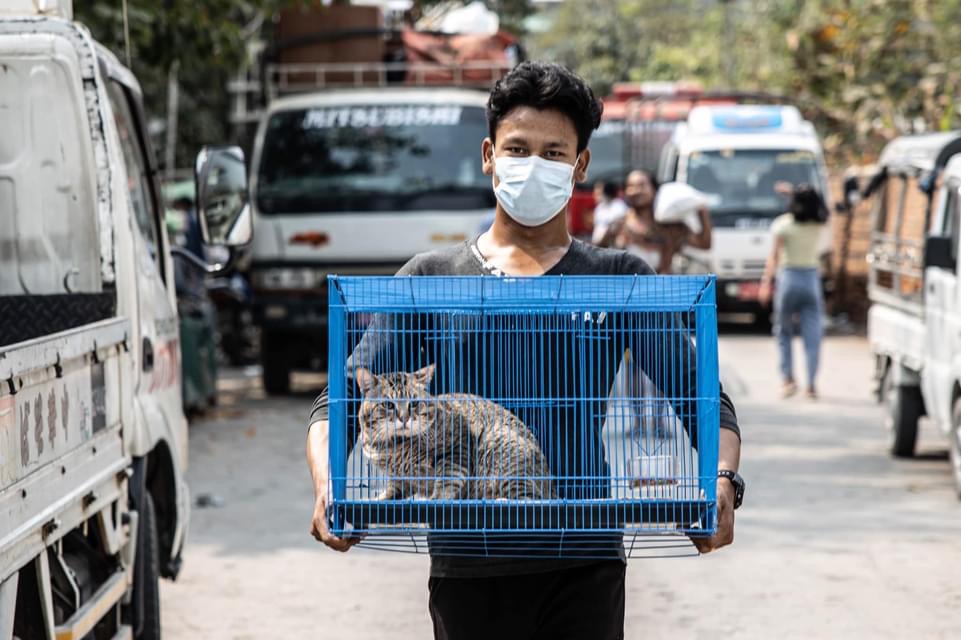 WutyeeN's tweet photo. @nslwin When railway staffs are forced to leave state housing, they take their pets together.Heartwarming!
We may be poor in terms of money but rich in affection.
@AnimalsWorId
@AnimalPlanet
#WhatsHappeningInMyanmar #Mar21Coup https://t.co/iJeIx2usUZ