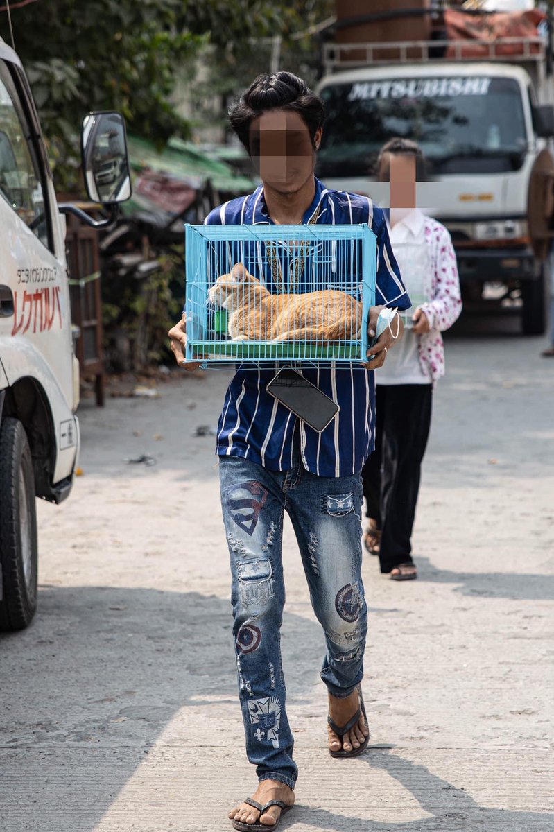 WutyeeN's tweet photo. @nslwin When railway staffs are forced to leave state housing, they take their pets together.Heartwarming!
We may be poor in terms of money but rich in affection.
@AnimalsWorId
@AnimalPlanet
#WhatsHappeningInMyanmar #Mar21Coup https://t.co/iJeIx2usUZ