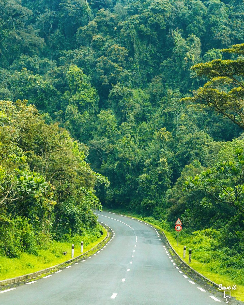 africanindex_'s tweet photo. Rwanda 🇷🇼 https://t.co/Fqd9QmsVsF