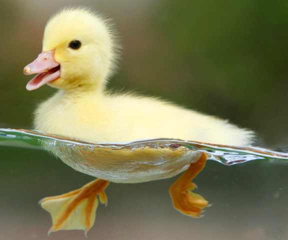 ZDBoutique's tweet image. Hello Spring! Shop our Spring favorites @ZDBoutique !

poshmark.com/closet/zdbouti…

Offers welcome!

#fashion #womensfashion #clothing #shoes #mensfashion #menswear #SpringBreak #Spring #denim #style #bags #OOTD #OotdStyle