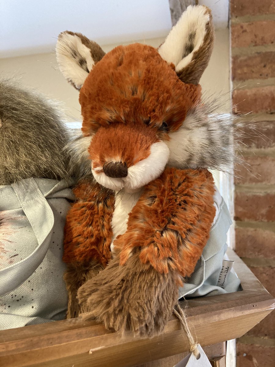 So in love with this gorgeous soft toy so want to take him home with me 😍 #wrendale #wrendaledesigns #softtoy #fox #unclehenrys