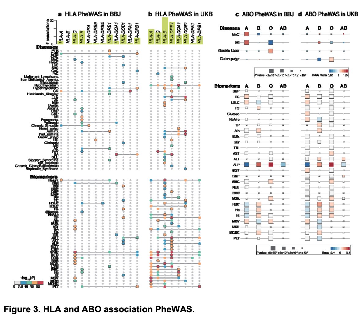 a beautiful paper on atlas of genetic associations of 220 phenotypes between east asian and european of ~800K inds from @saorisakaue, @masakanai @okada_yukinori and colleagues including HLA fine-mapping! medrxiv.org/content/10.110…. full summary stats from:pheweb.jp