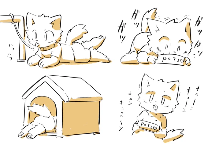 いぬ 