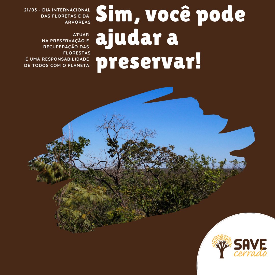 pbellonia's tweet photo. 21/03 - Dia Internacional das Florestas e da Árvore

Minha gratidão às empresas e pessoas que confiam e associam suas marcas ao nosso trabalho, apoiando voluntariamente a preservação da mais biodiversa savana do planeta. 
@AmericaMG 
#sustentabilidade #meioambiente #savecerrado https://t.co/fO6HZYahUm