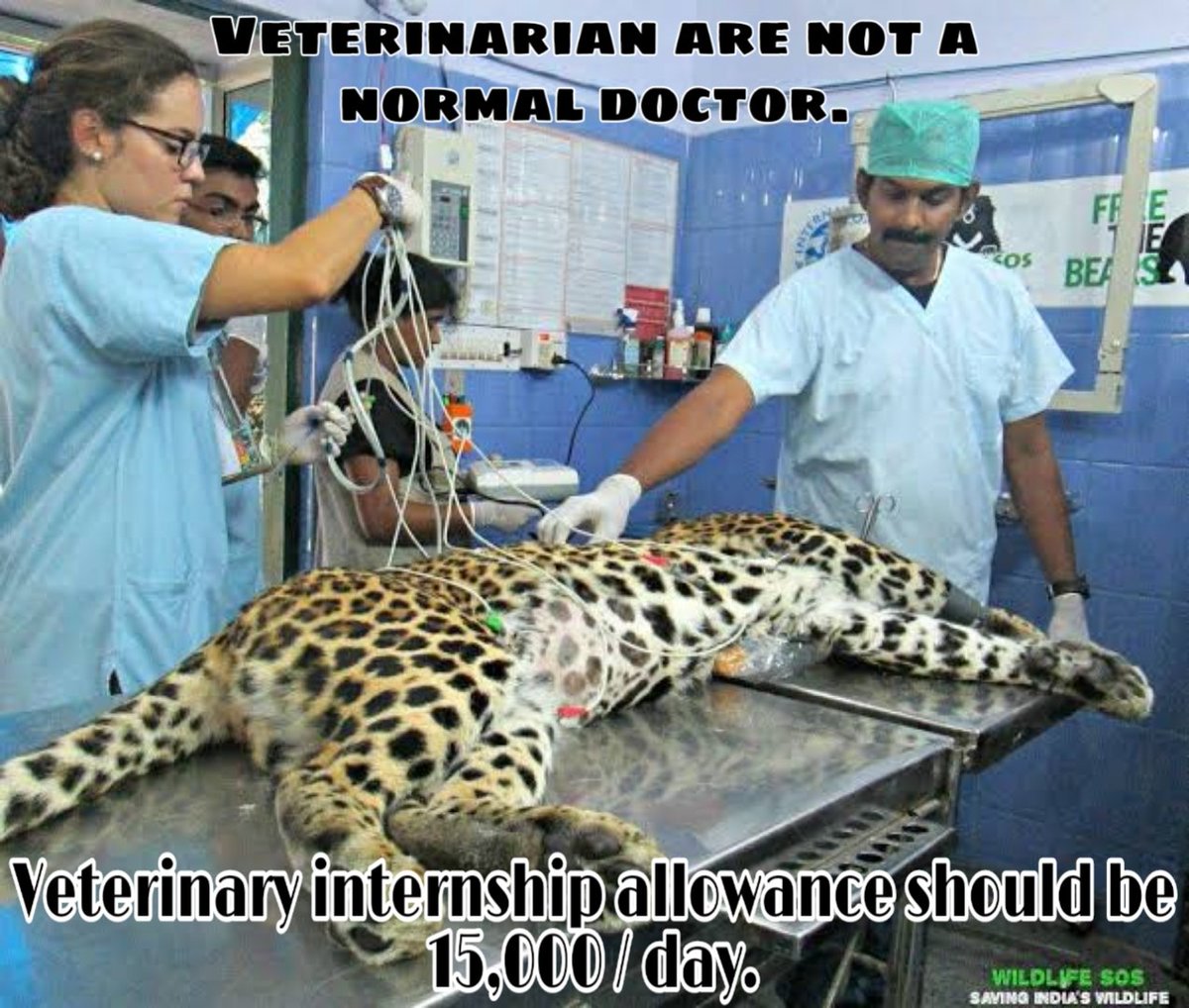 dr_dharm_kmwt's tweet photo. Veterinary intern doctors give service for 1 year, to improve the health of different animals,stipend is very low
#IncreaseinternshipAllowance
@RajCMO @ashokgehlot51 @KatariaLalchand  @presidentvci @icarindia @girirajsinghbjp @drsanjeevbalyan @nstomar @atulichaturvedi @Min_FAHD https://t.co/TfNUo0zH1G