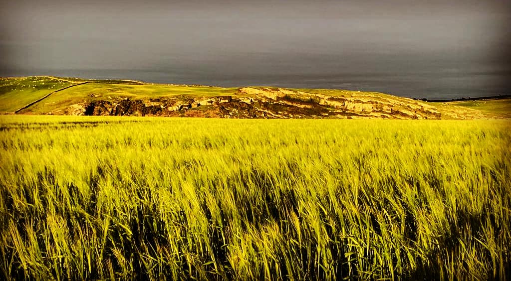Andrewwrenn's tweet photo. I'm hosting 2 semi-private weekend #Yoga retreats in July! 

More information on @Pureyogachesh website https://t.co/GwgWTrgbrk contact us to book your spot info@pureyogacheshire.co.uk #yogaretreat #yogaweekend #yogaforall #yogapractice #summer2021 https://t.co/oHUuDQb0mW