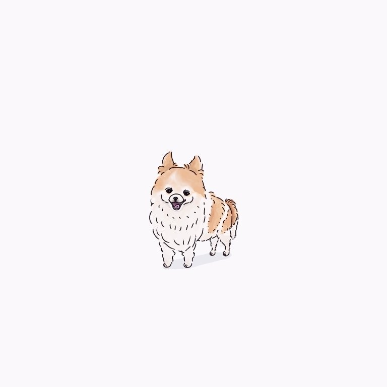 むく A Twitter チワワ イラスト 犬イラスト チワワイラスト チワワ ゆるいイラスト イラスト好きな人と繋がりたい 絵描きさんと繋がりたい