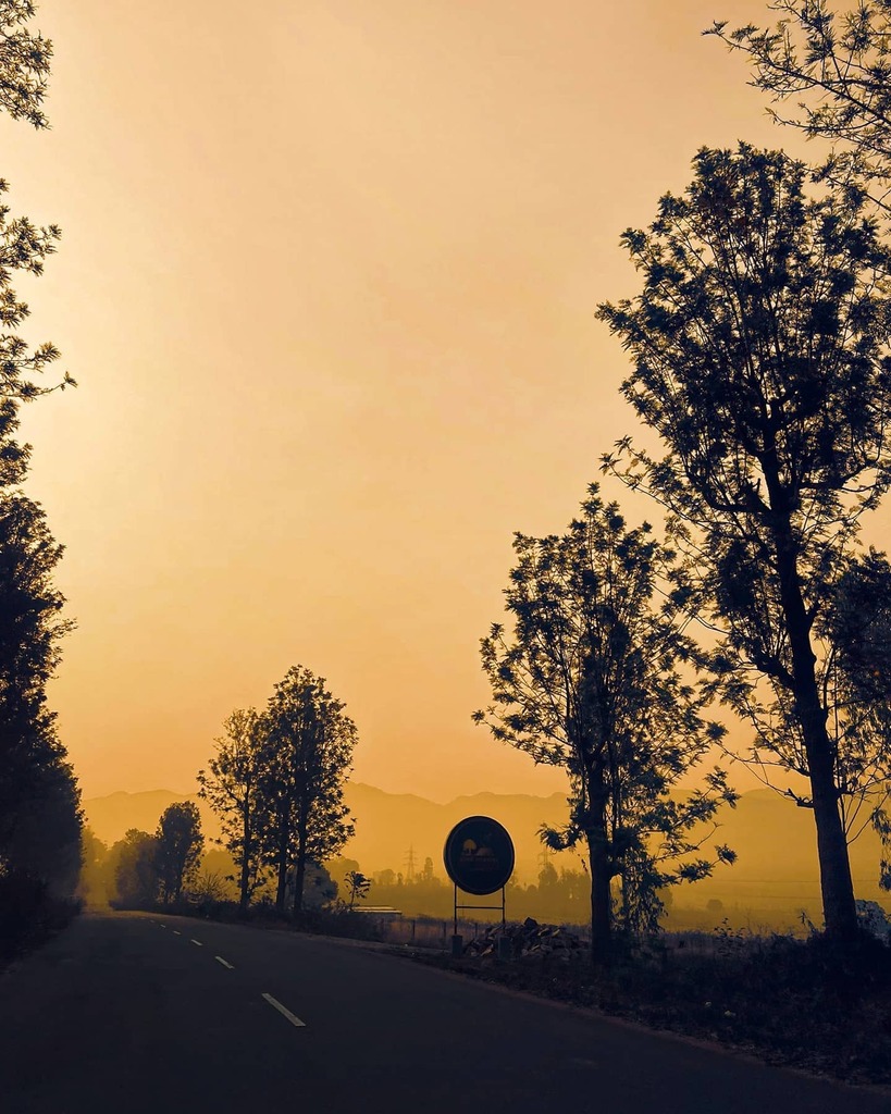aneeshpavan's tweet photo. 🌲🌲🌲
.
.
Shoton : @apple iphone 11 
.
.
#shotoniphone https://t.co/x98aynUyiX https://t.co/EoySbpJnrZ
