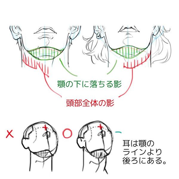 身体の描き方 Twitter