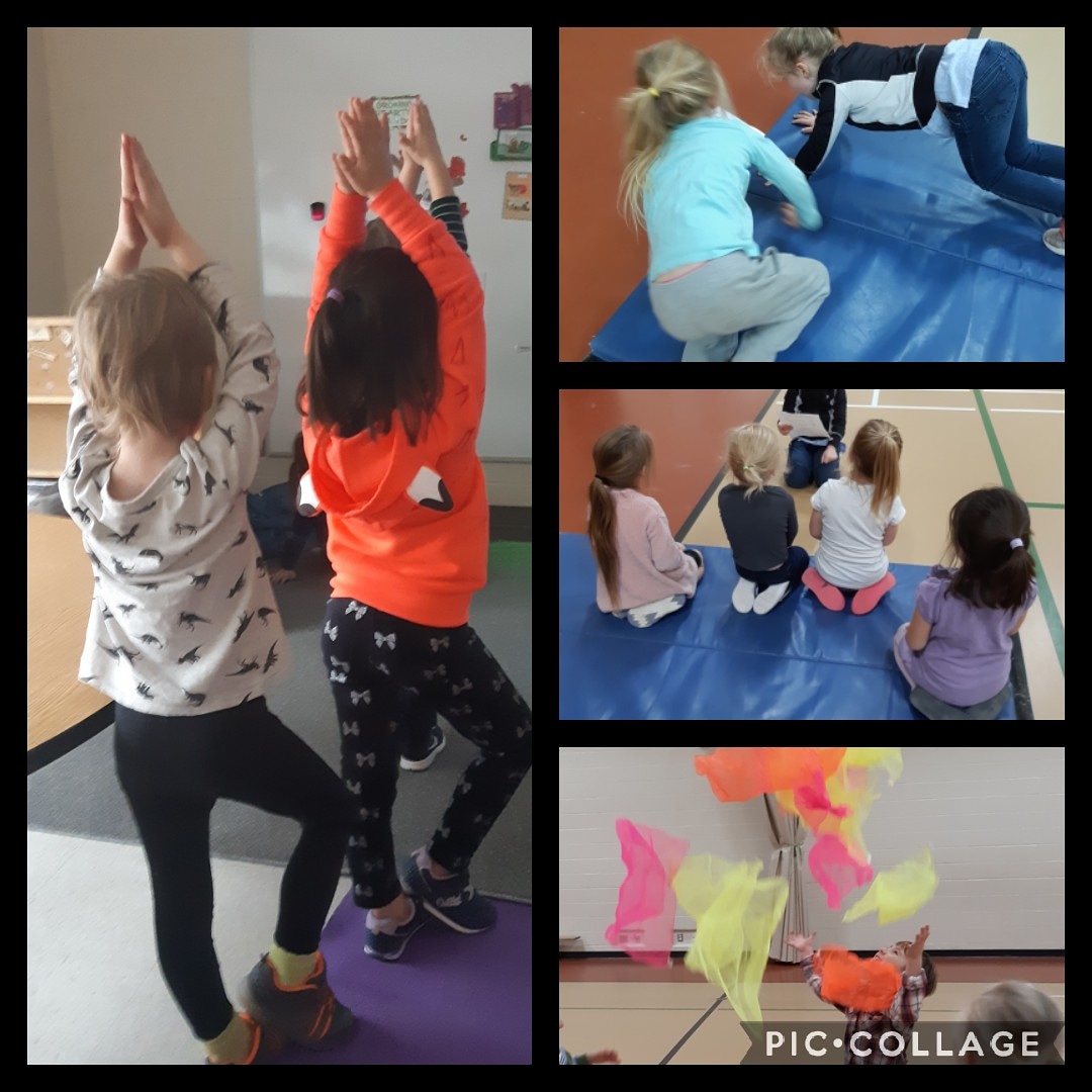 Exciting to see the students take initiative in practicing mindfulness &amp; self-reg. Students demonstrate ability to manage their own energy states, emotions, behaviours, &amp; attention in ways that are socially acceptable &amp; help achieve positive goals such as positive relationships.