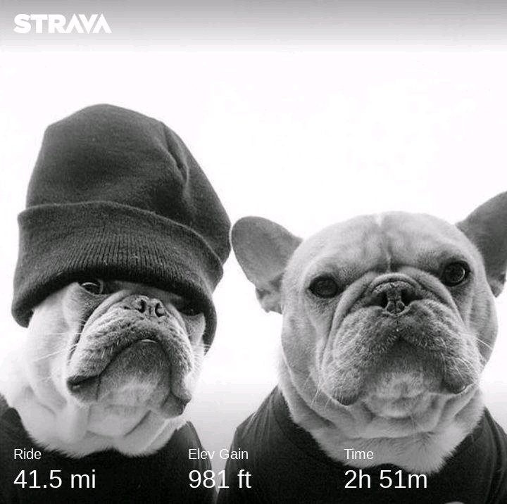 ukelelejones's tweet photo. Jonesy takes Munders to see the big Wok @jodrellbank and the Stars !!! Needed a brew and FlapJack on the way back - Sugar deficiency 😜🚴♂️🤩 Smashing cycle 😎 Uke
#GreatToBeOut
#Cycling
#Pinarello
#JodrellBank https://t.co/bkS1wY6nog
