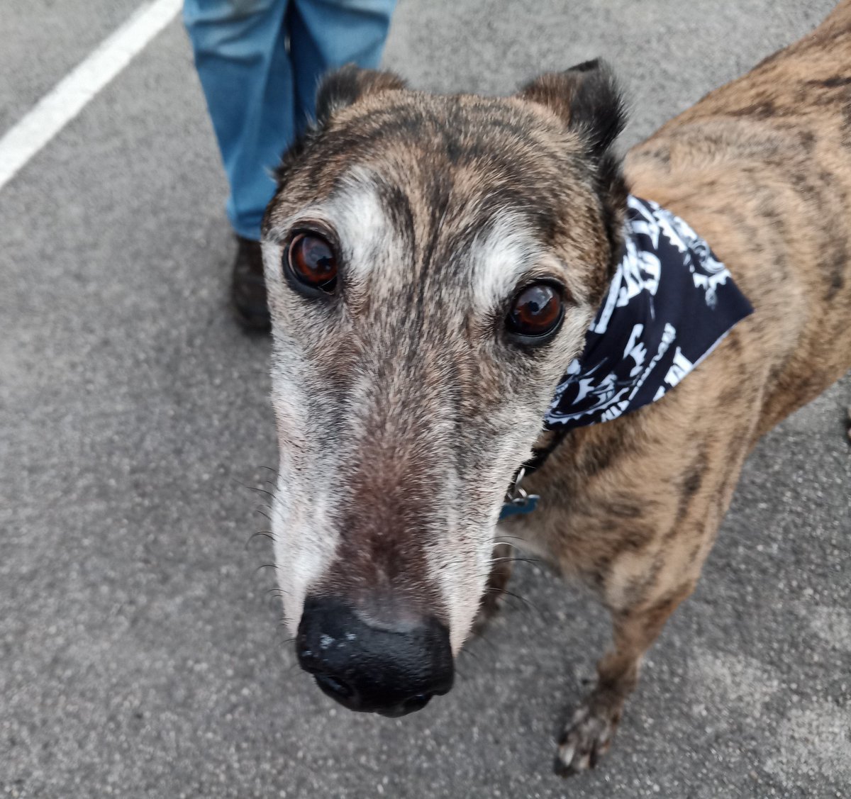 MTB Outlaws tweet media