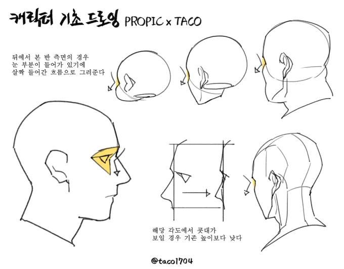 뒤에서 본 반 측면 얼굴의 경우 눈 부분이 들어간 흐름으로 그려준다 