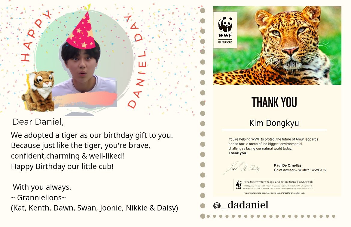 sarangdongkyu's tweet photo. We would like to share this wonderful gift to everyone.We adopted a Tiger as birthday present to our precious boy Daniel.We can't wait to see you again bub 💙

Lots of love, Grannielions
@marvelousKDG @NomadKenth
@noonaniell @skoono_
@jooniekim2 @nikkieeelodeon

#OurDeerDanielDay https://t.co/bhJW58xgDv