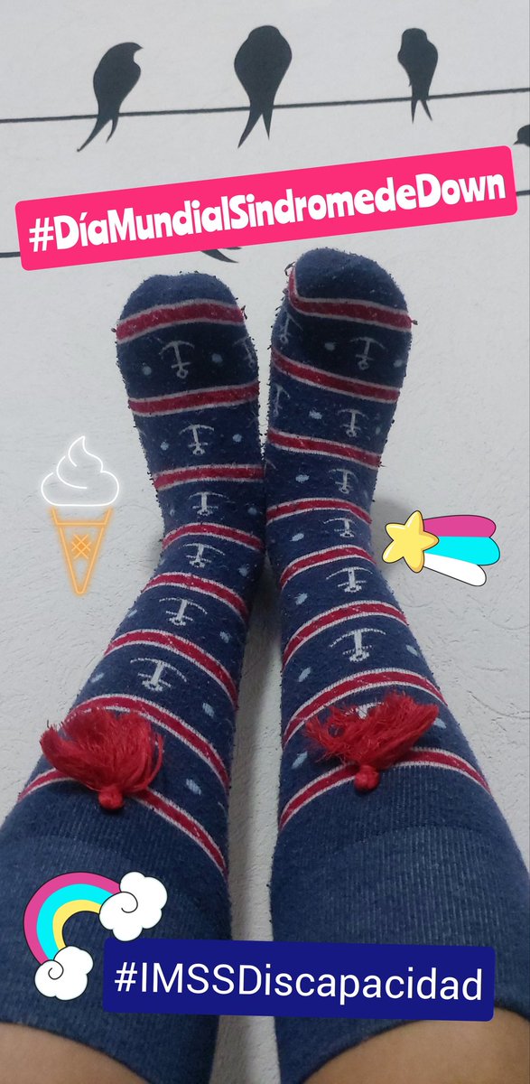dalis316's tweet photo. 21 de marzo |#DíaMundialSindromedeDown|
-La única discapacidad en la vida es una mala actitud.-Scott Hamilton.
#IMSSDiscapacidad #DMSD21 https://t.co/68ZDnUNuXM