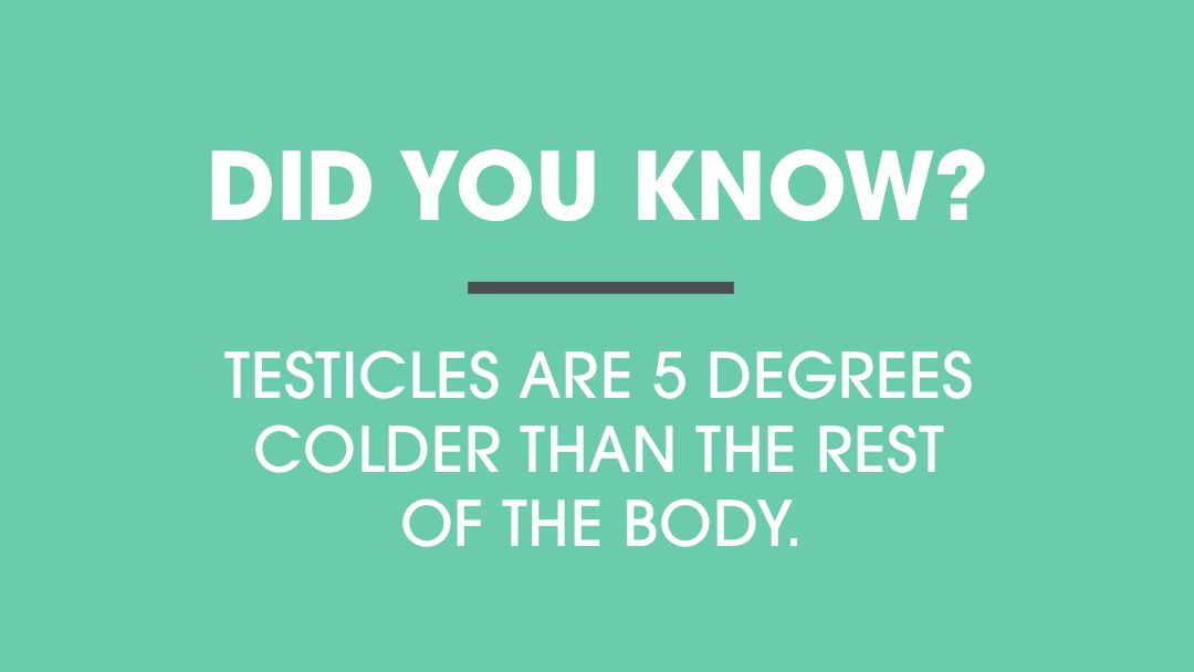 That's not to say they don't get sweaty though, right lads? 🤨

Sweaty balls are common and uncomfortable. But suffer no more, we've got you! Use Below the Belt Fresh &amp; Dry Balls™ just like you would use your daily deodorant!

btbgrooming.co.uk/shop/