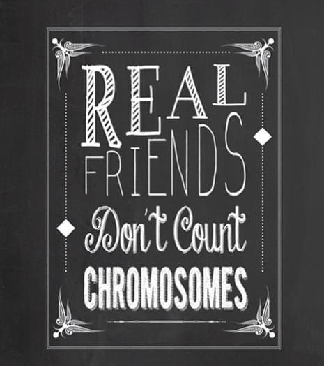 WJHS_5thGrade tweet media